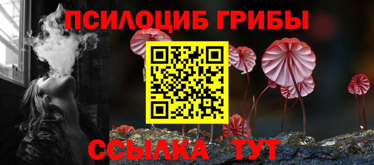 Галлюциногенные грибы Psilocybine cubensis Чита